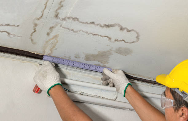 Reliable Structural Drying contractor in Kenilworth, NJ by Water Damage Irwin